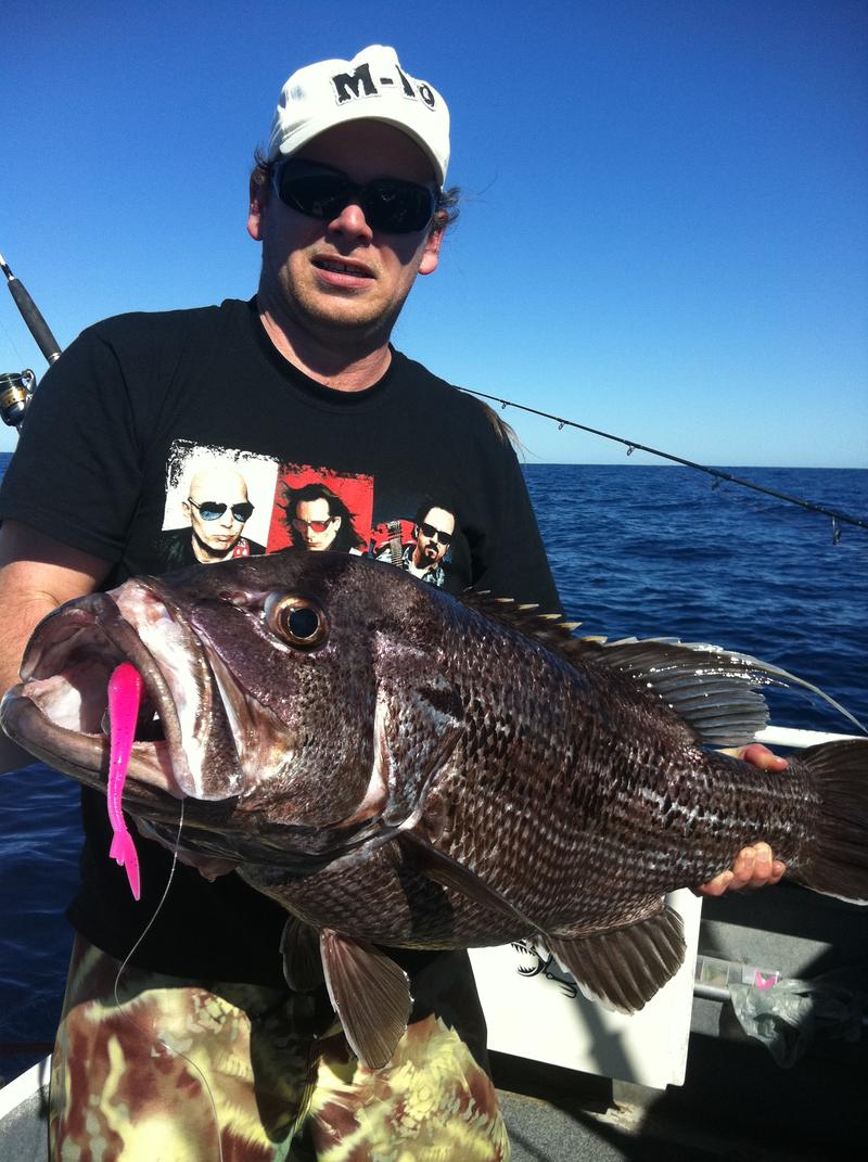 Jurien Bay and Sounder advice Fishing Fishing WA